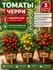 Интернет‑магазин Wildberries: широкий ассортимент товаров - скидки каждый день!